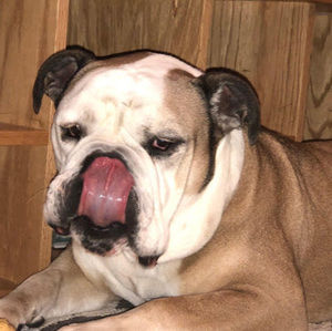 Meet your Posher, Blair